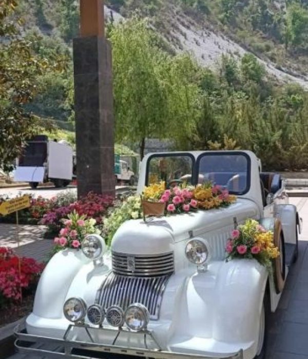 A decorated white vintage car in the laps of mussoorie hills